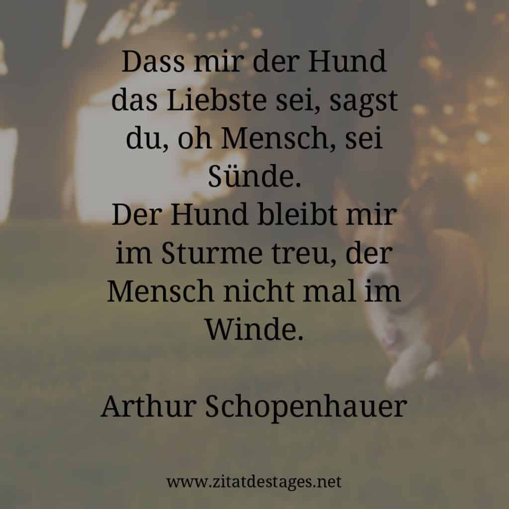 Zitat des Tages vom 10.10.2020 Zitat des Tages